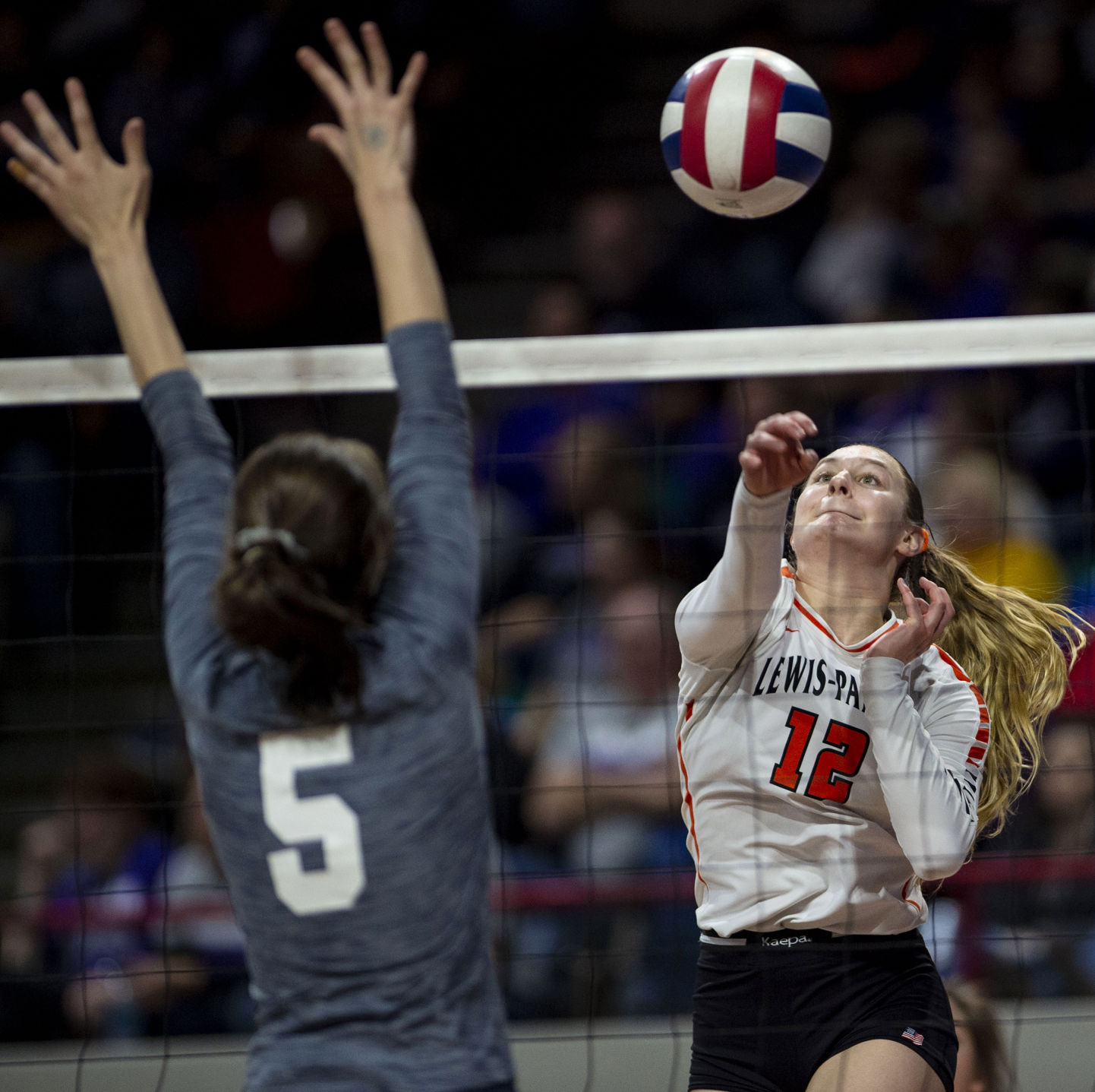 111719-s-lewispalmerstatevb 02.jpg